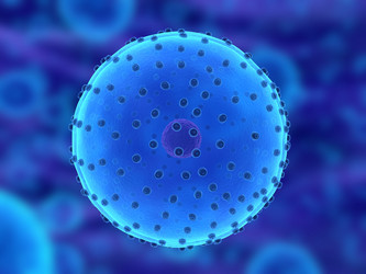 Similar image 8203822