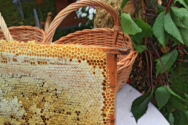 Similar image 8203856