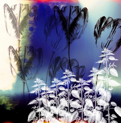 Similar image 8203860