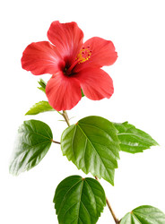 Similar image 8203876