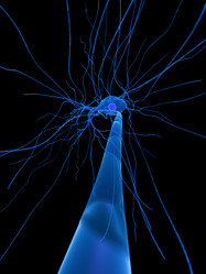 Similar image 8203969