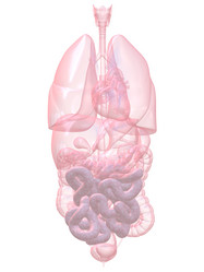 Similar image 8203976