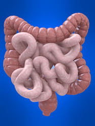 Similar image 8203985