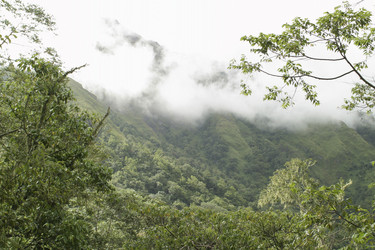 Similar image 8203987