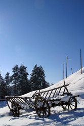 Similar image 8203986