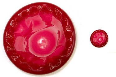 Similar image 8204010