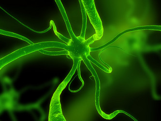 Similar image 8204043