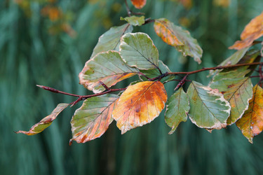 Similar image 8204103