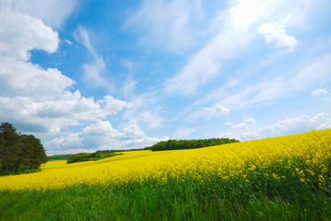 Similar image 8204111