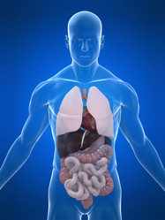 Similar image 8204125