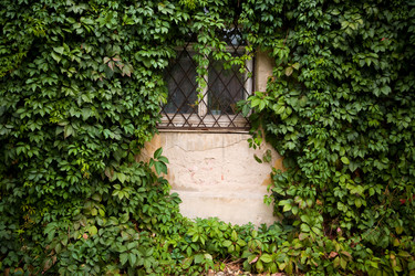 Similar image 8204132