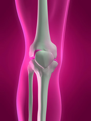 Similar image 8204232