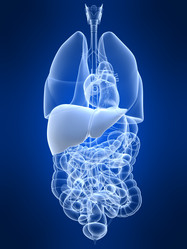 Similar image 8204237