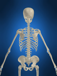 Similar image 8204259