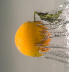 Similar image 8204281