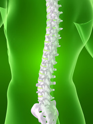 Similar image 8204322