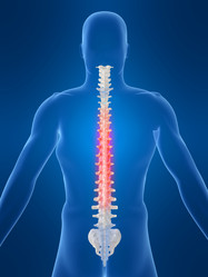 Similar image 8204330