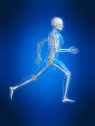 Similar image 8204407