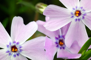 Similar image 8204410