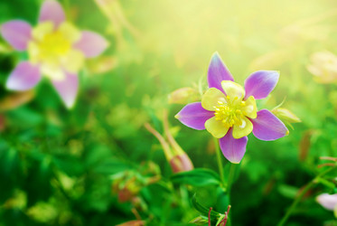 Similar image 8204441