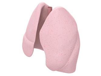 Similar image 8204463