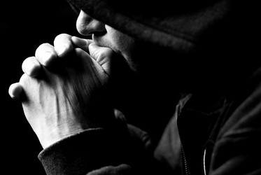 Similar image 8204483