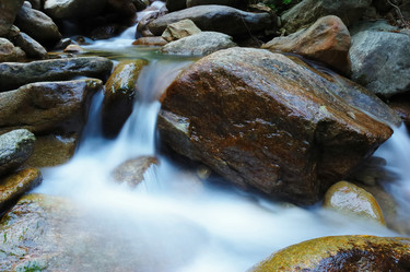 Similar image 8204484