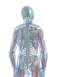 Similar image 8204486