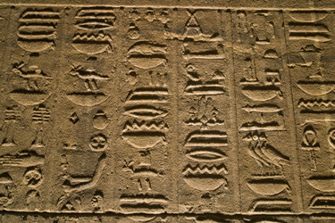 Similar image 8204503