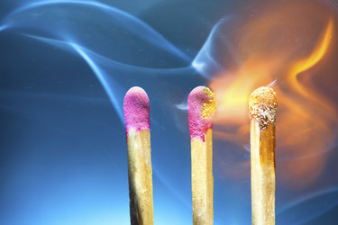 Similar image 8204511