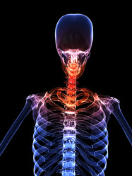 Similar image 8204561