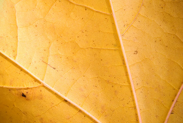 Similar image 8204595