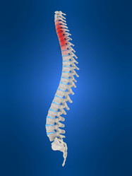 Similar image 8204600