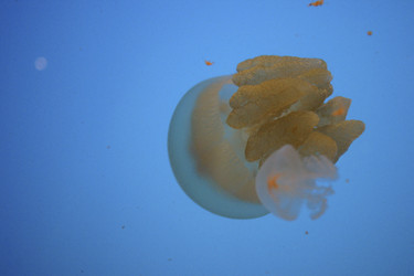 Similar image 8204604