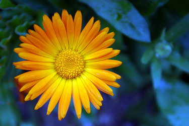 Similar image 8204640