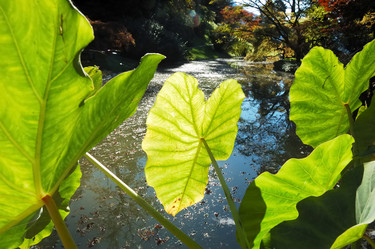 Similar image 8204641