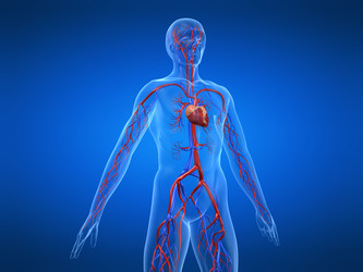 Similar image 8204666