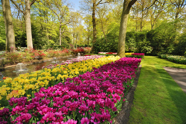 Similar image 8204687