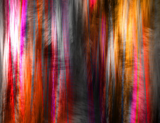 Similar image 8204761