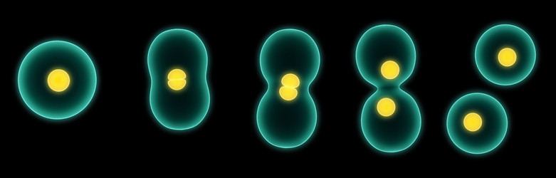 Similar image 8204787