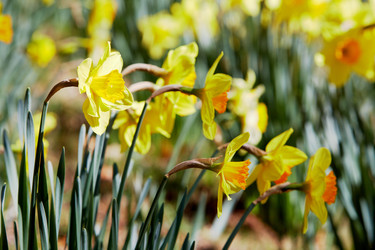 Similar image 8204825