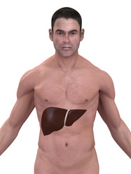 Similar image 8204833