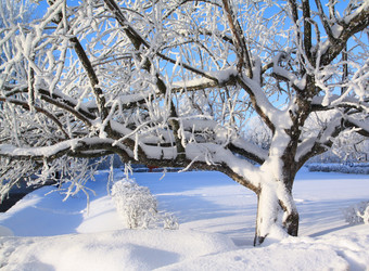 Similar image 8204835