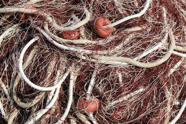 Similar image 8204836