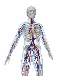 Similar image 8204861