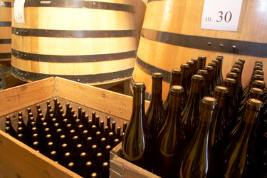 Similar image 8204863