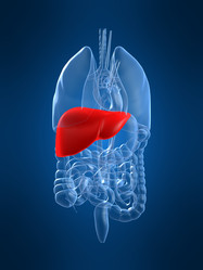 Similar image 8204872