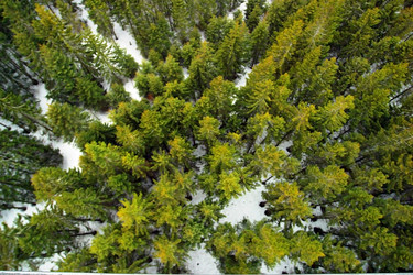 Similar image 8204923