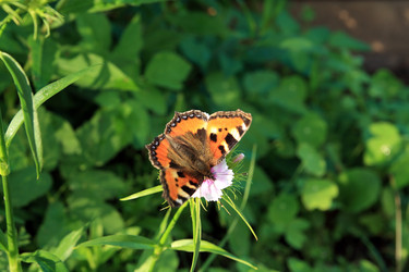 Similar image 8204926