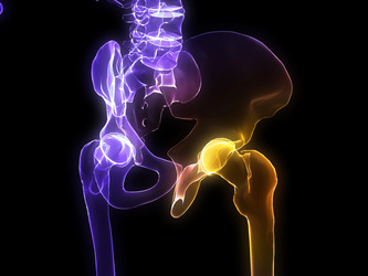 Similar image 8204927